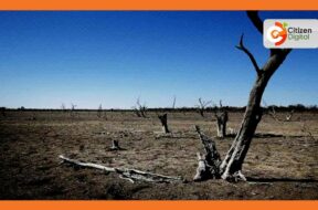 Meru-County-hard-hit-by-drought-situation