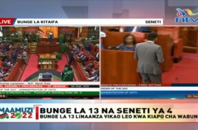 Sabina-Chege-sworn-into-National-Assembly-Oburu-Odinga-sworn-into-Senate