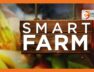 SMART-FARM-Focus-on-urban-farming-in-Rongai-Kajiado-County