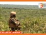 4-suspected-bandits-shot-dead-in-Kirima-Laikipia-County